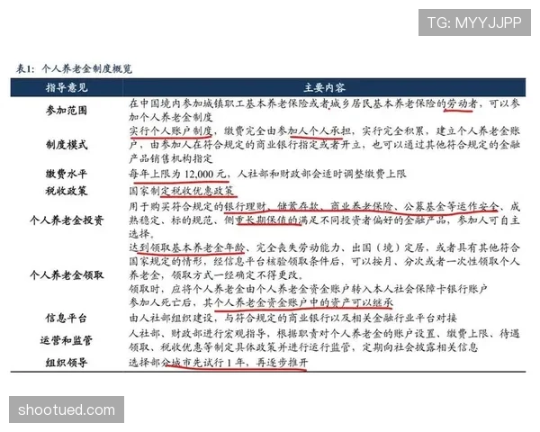 青训规则中的关键发展标准与裁判执行细则解析